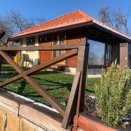 Apartmani Lunija Gornji Milanovac Extérieur photo