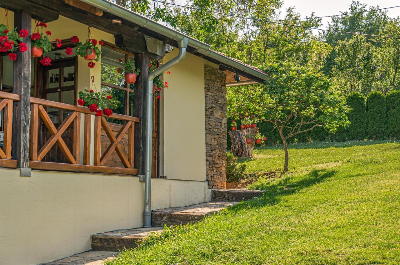 Apartmani Lunija Gornji Milanovac Extérieur photo