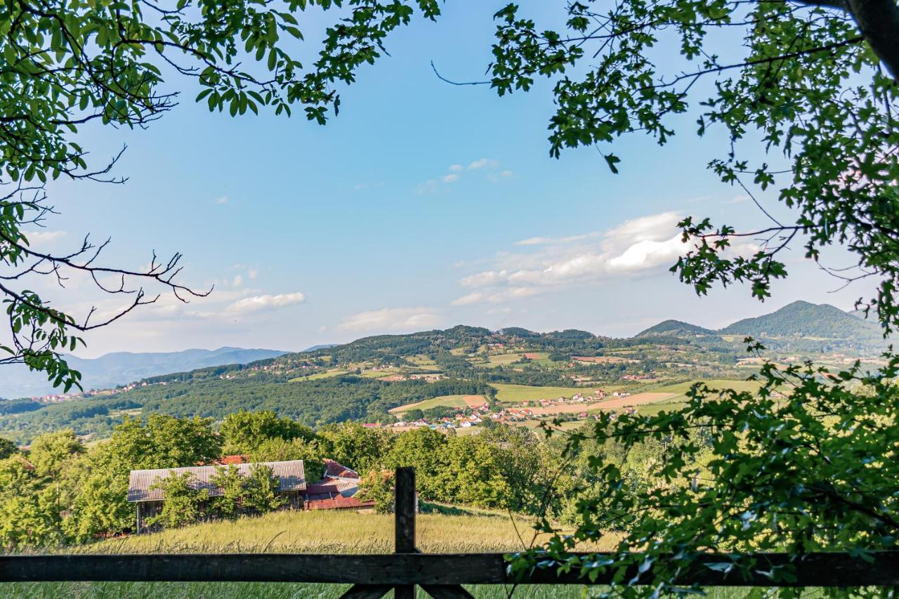 Apartmani Lunija Gornji Milanovac Extérieur photo
