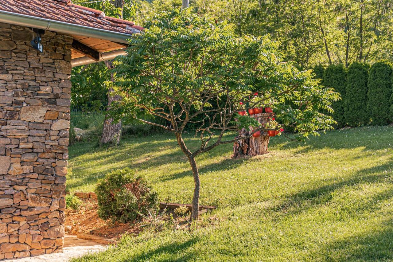 Apartmani Lunija Gornji Milanovac Extérieur photo