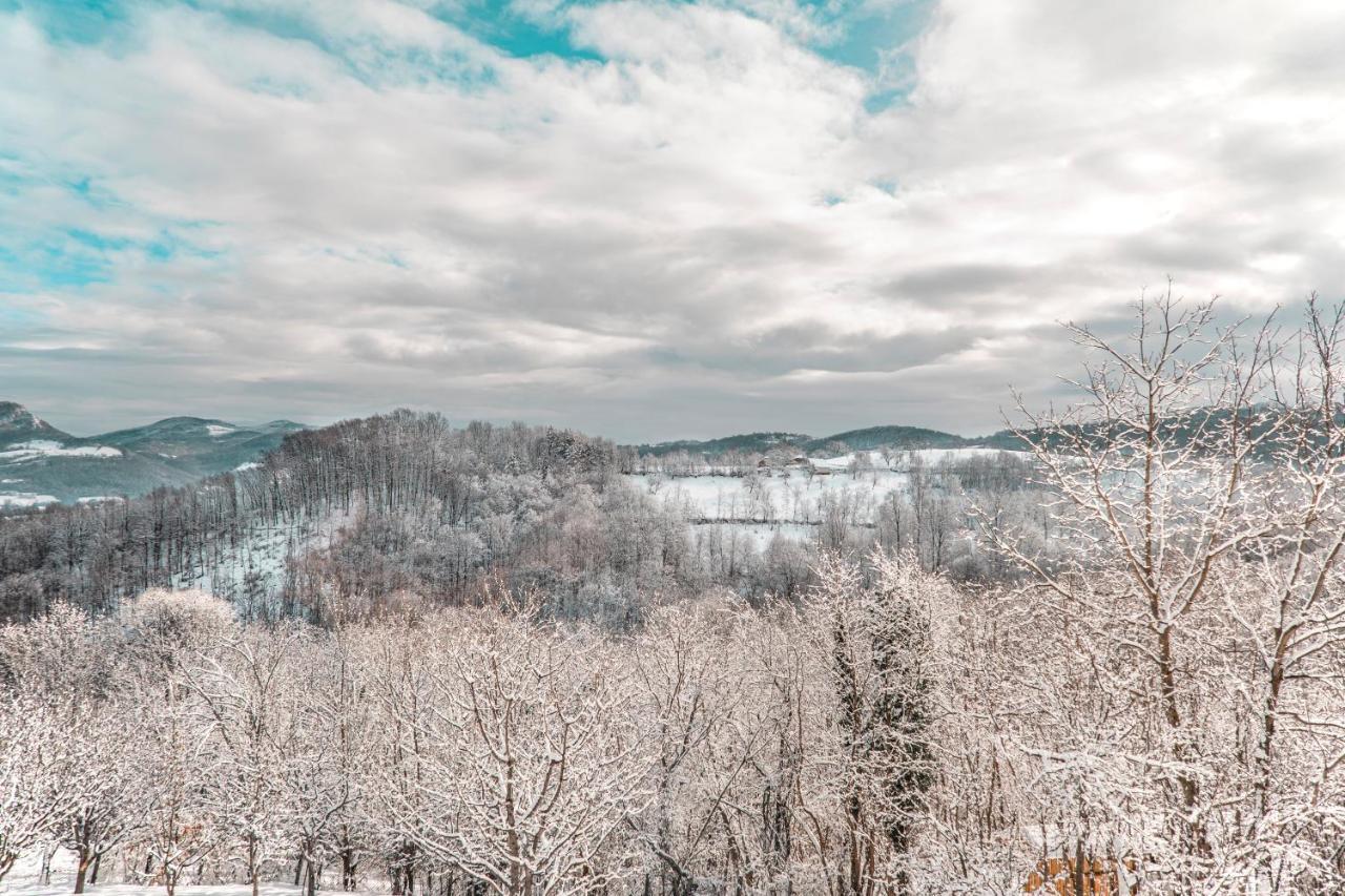 Apartmani Lunija Gornji Milanovac Extérieur photo